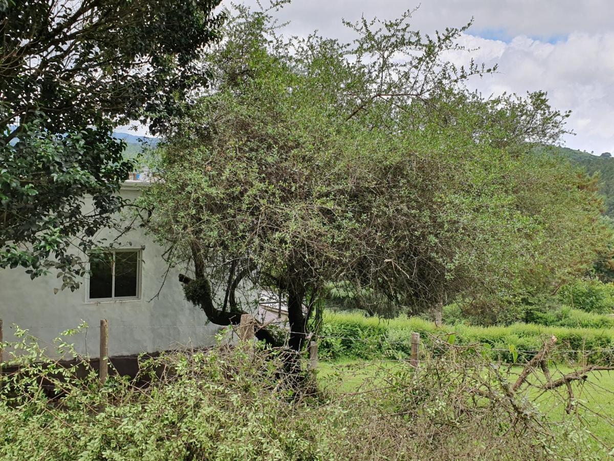 Casas De Raco Villa Eksteriør billede